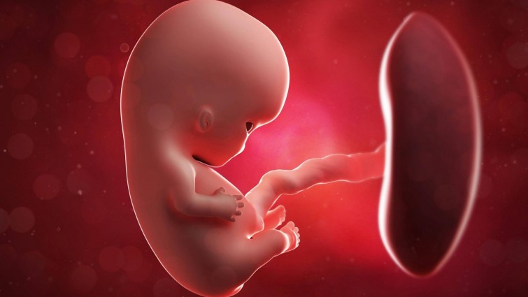 Erste Geburt aus Gebärmutter